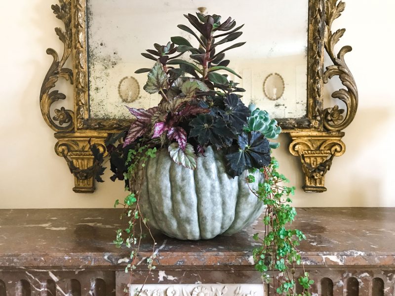 A Fall Centerpiece: Intriguing Combinations with Garden Favorites