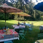 A Picnic in the Garden: All About Pattern