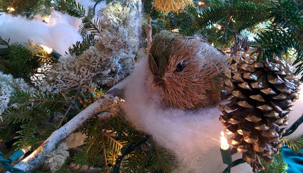 Christmas Tree: Dressed for the Occasion