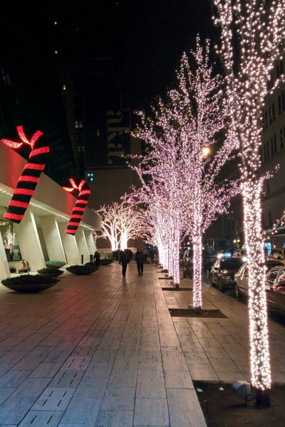 New York for the Holidays: Favorite City Views