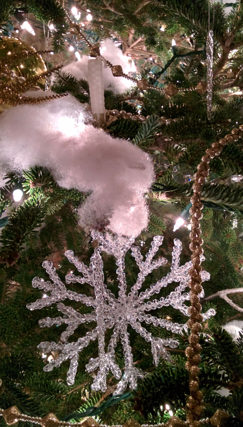 O Christmas Tree: Dressed for the Occasion