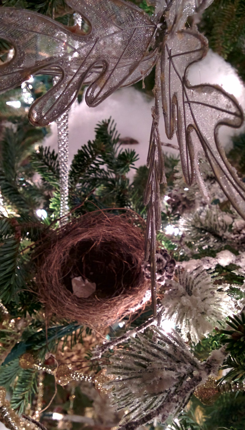 O Christmas Tree: Dressed for the Occasion