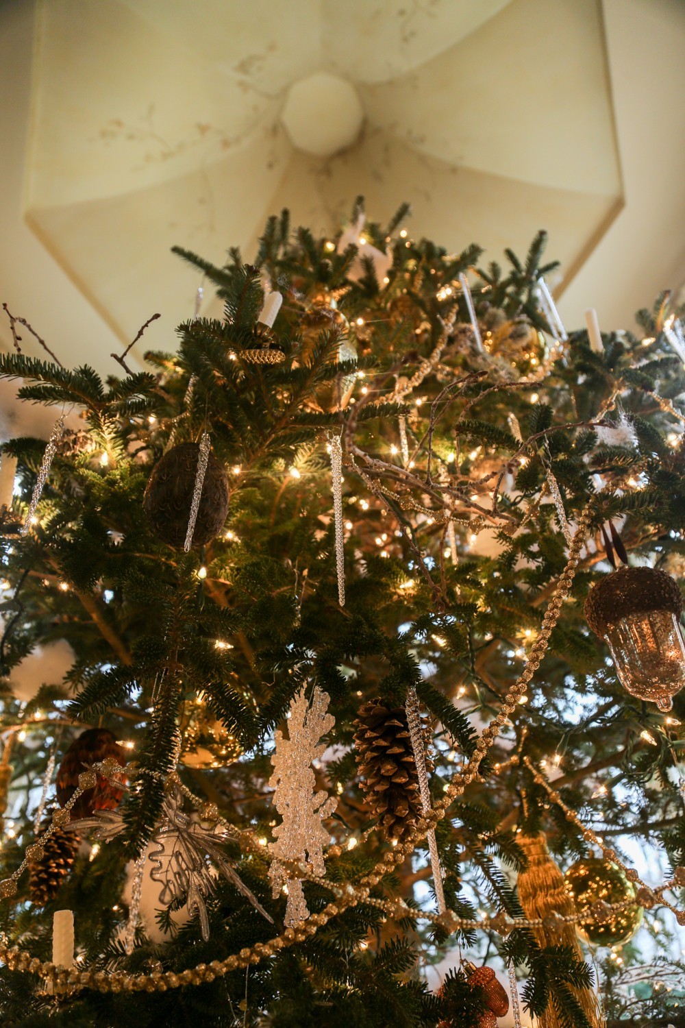 O Christmas Tree: Dressed for the Occasion