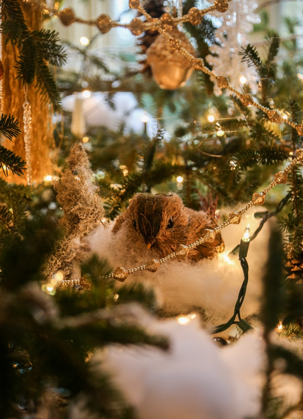 O Christmas Tree: Dressed for the Occasion