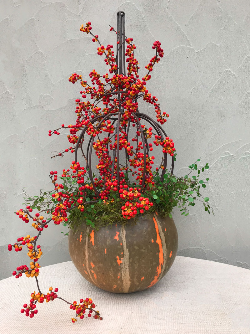 All Around the House: Decorating with Pumpkins | Private Newport