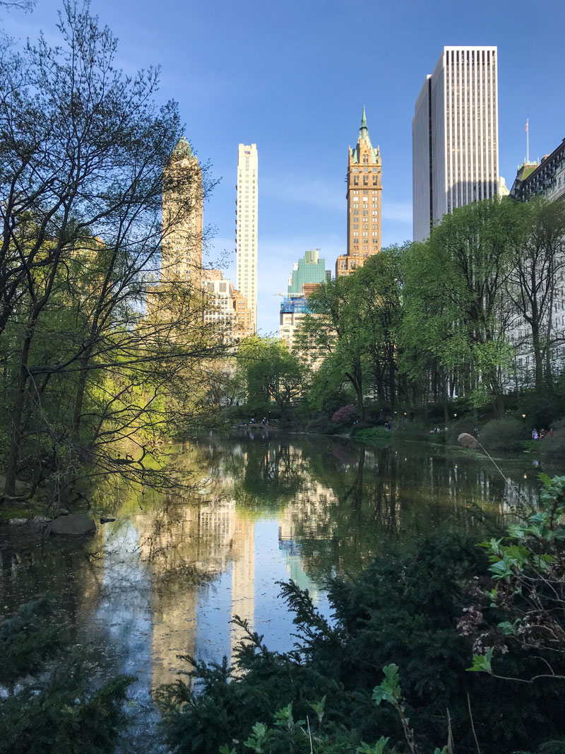 Early Spring in Central Park - Private Newport