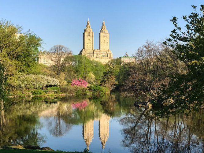 Early Spring in Central Park | Private Newport