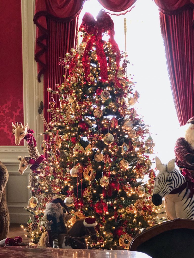 “O Christmas Tree, O Christmas Tree…” | Private Newport