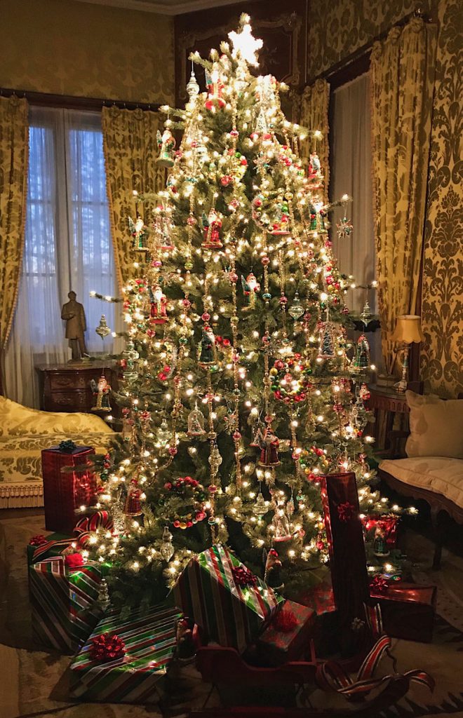 “O Christmas Tree, O Christmas Tree…” | Private Newport