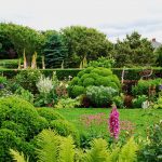 Inspiring Garden Design: Express Your Personality!