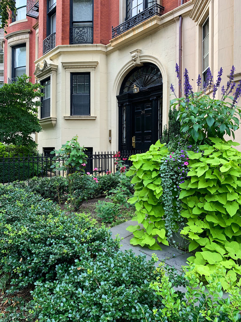 Boston Townhouse Gardens8 Private Newport