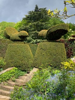 Inspiring Garden Design: Spring at Hidcote | Private Newport
