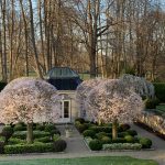 Romancing the Orangerie