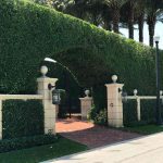 Palm Beach, the Greenest of Enclaves