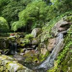 The Magic of Water in the Garden