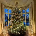 Christmas 2025 at Parterre